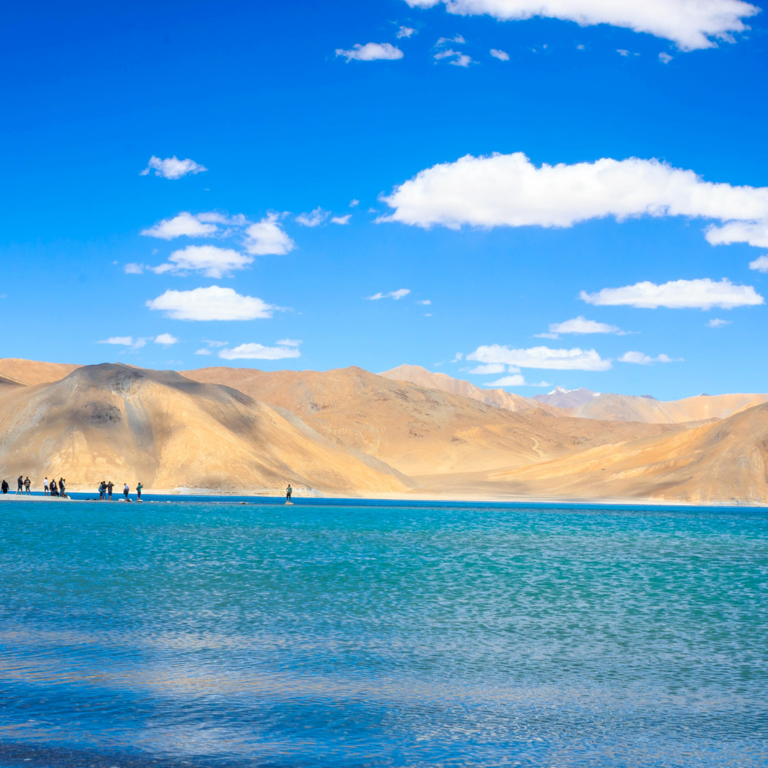 Ladakh Lake View
